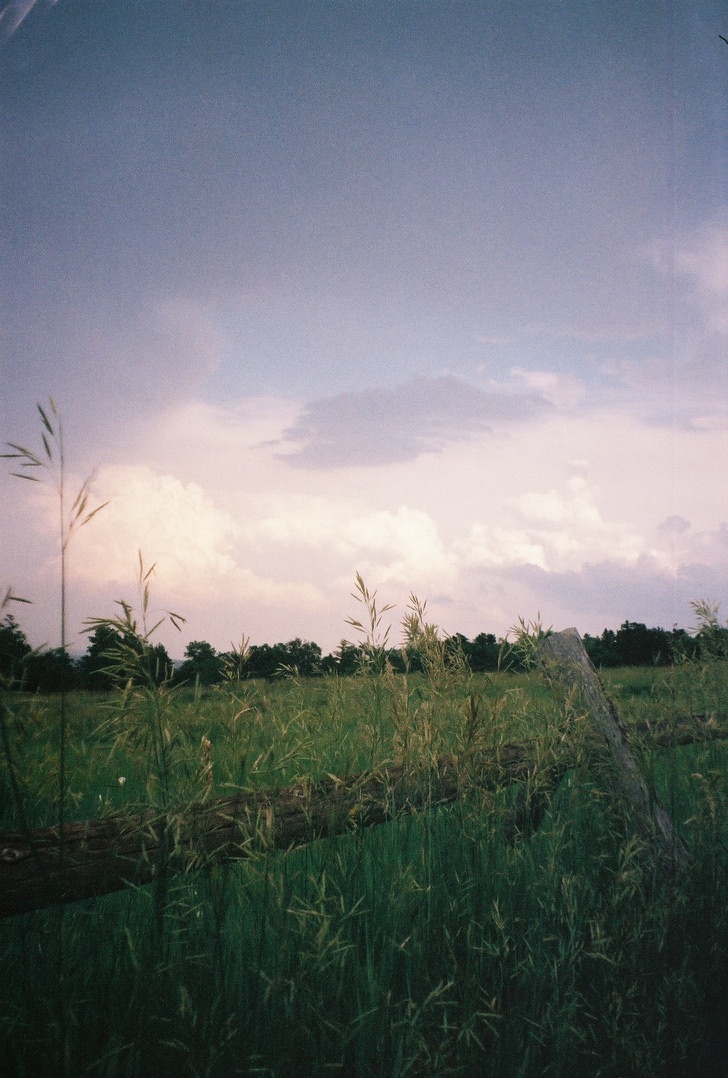 Chatauqua park in Boulder