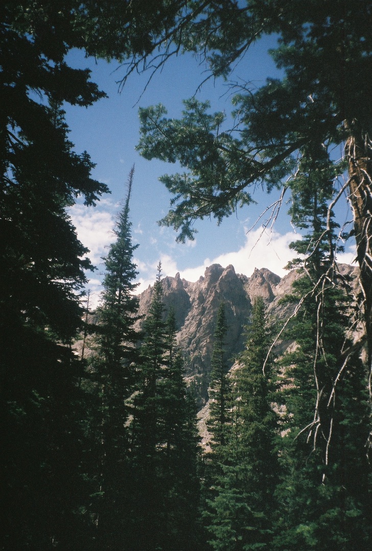 Mountains peeking through the trees