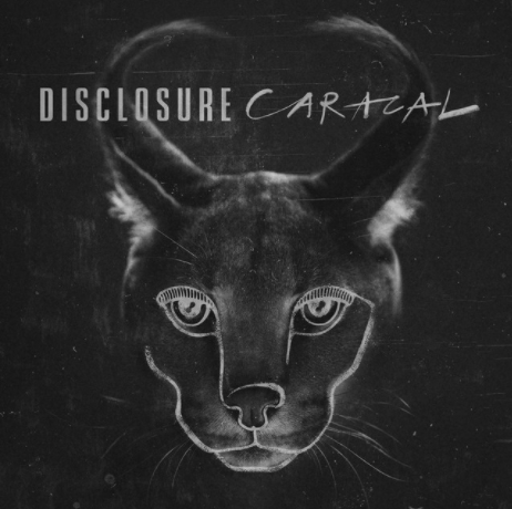 Disclosure's Caracal